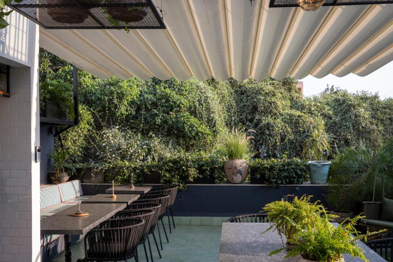 Roso Guest House メキシコシティ エクステリア 写真